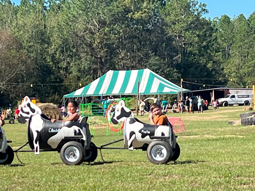🎃🍂 Our 1st graders had a gourd time visiting Poppell Farms Pumpkin Patch! 🧡🐐 From fall fun to making memories with friends, our Tigers had a wonderful time enjoying this seasonal adventure! Thank you to Poppell Farms for helping make this a special experience for our students! 🧡 #ClaxtonTigers #CESProud #PardonOurProgress #SuccessUnderConstruction