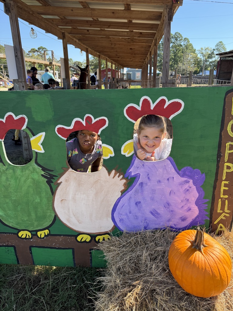 🎃🍂 Our 1st graders had a gourd time visiting Poppell Farms Pumpkin Patch! 🧡🐐 From fall fun to making memories with friends, our Tigers had a wonderful time enjoying this seasonal adventure! Thank you to Poppell Farms for helping make this a special experience for our students! 🧡 #ClaxtonTigers #CESProud #PardonOurProgress #SuccessUnderConstruction