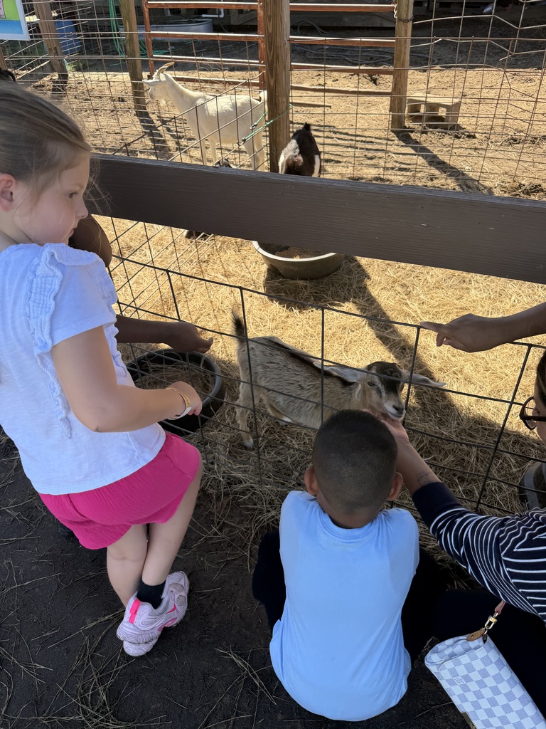 🎃🍂 Our 1st graders had a gourd time visiting Poppell Farms Pumpkin Patch! 🧡🐐 From fall fun to making memories with friends, our Tigers had a wonderful time enjoying this seasonal adventure! Thank you to Poppell Farms for helping make this a special experience for our students! 🧡 #ClaxtonTigers #CESProud #PardonOurProgress #SuccessUnderConstruction