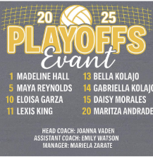 2025 Volleyball Playoff shirt image-back