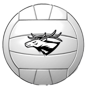 elk mascot on volleyball image
