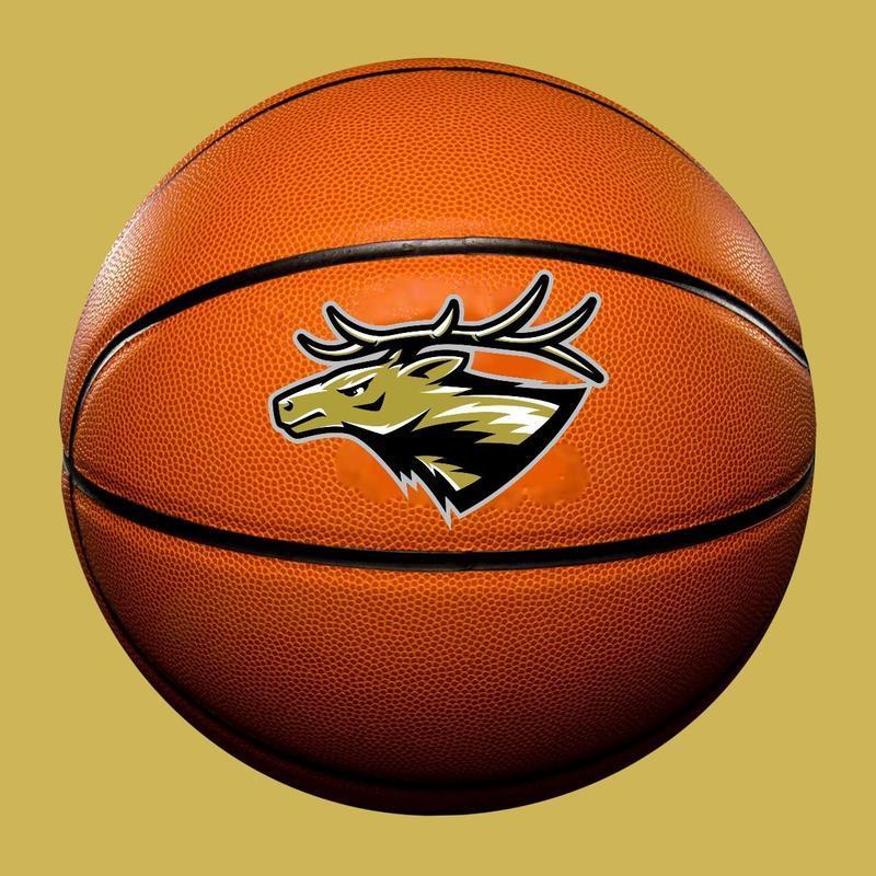 Basketball with Elk Mascot image