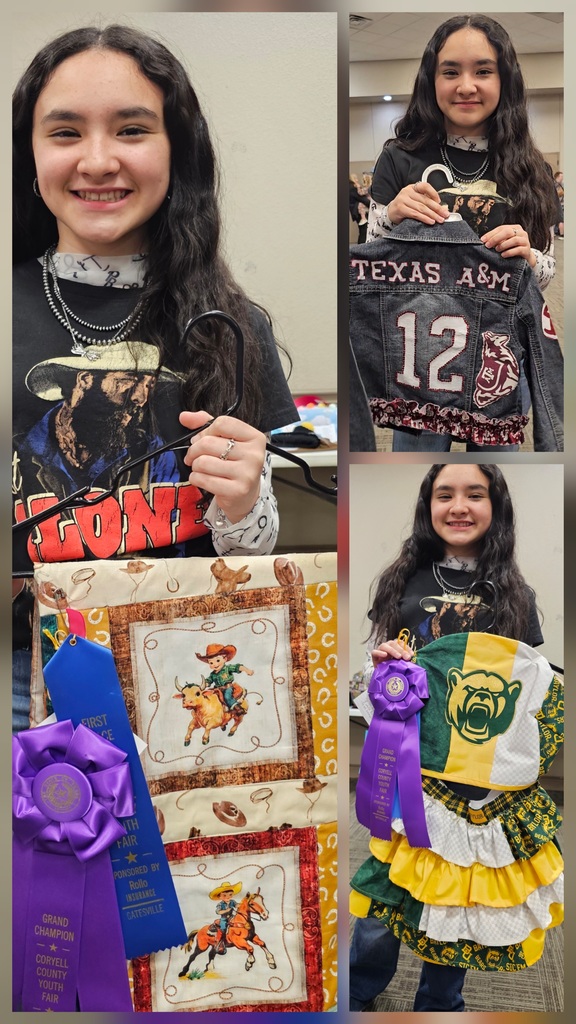 Isela R. CCYF entries and ribbons