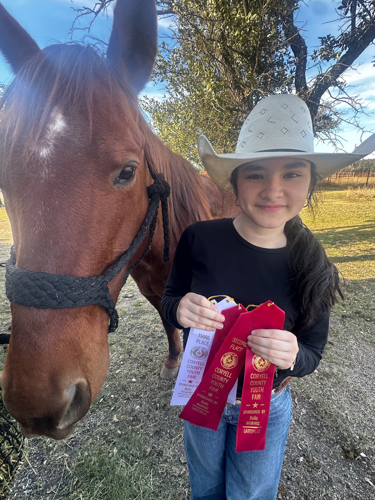 Isela R. CCYF horse entry and ribbons image