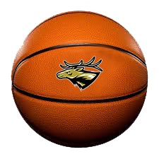 basketball with elk image