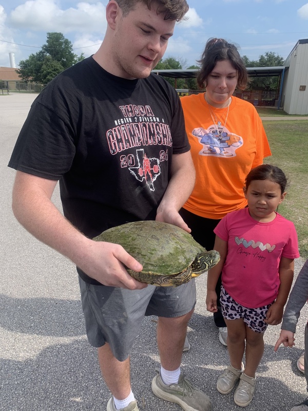 Ace Summer Program