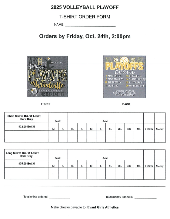 Volleyball Playoff T Shirt Order form image