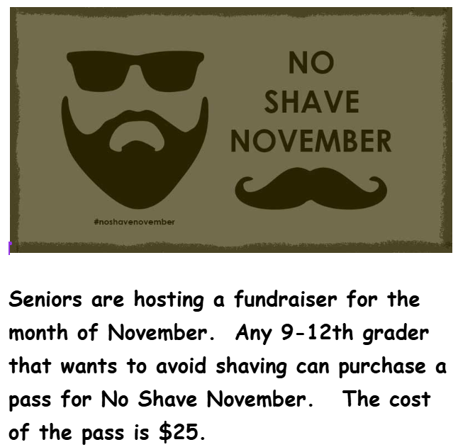 No Shave November flyer image