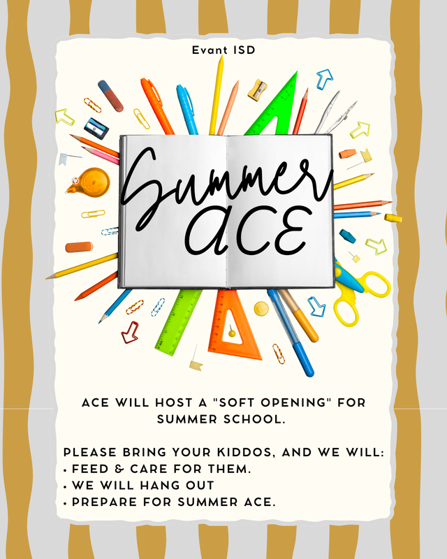 Summmer ACE kick Off