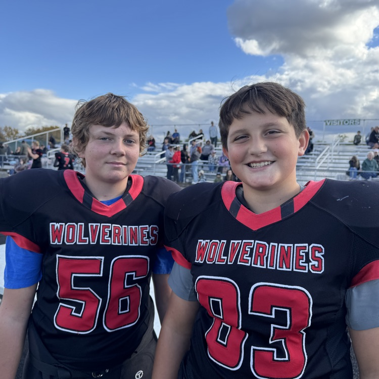 wolverines