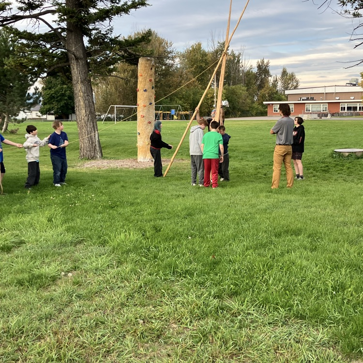 tipi