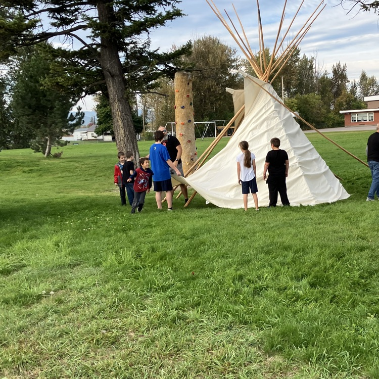 tipi