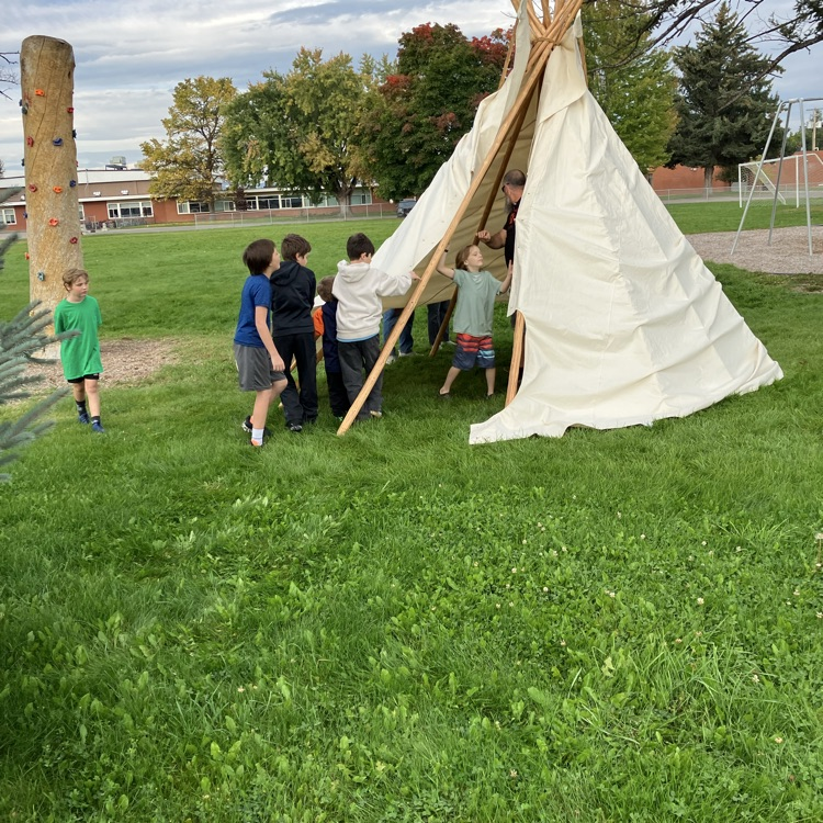 tipi