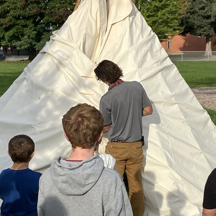 tipi
