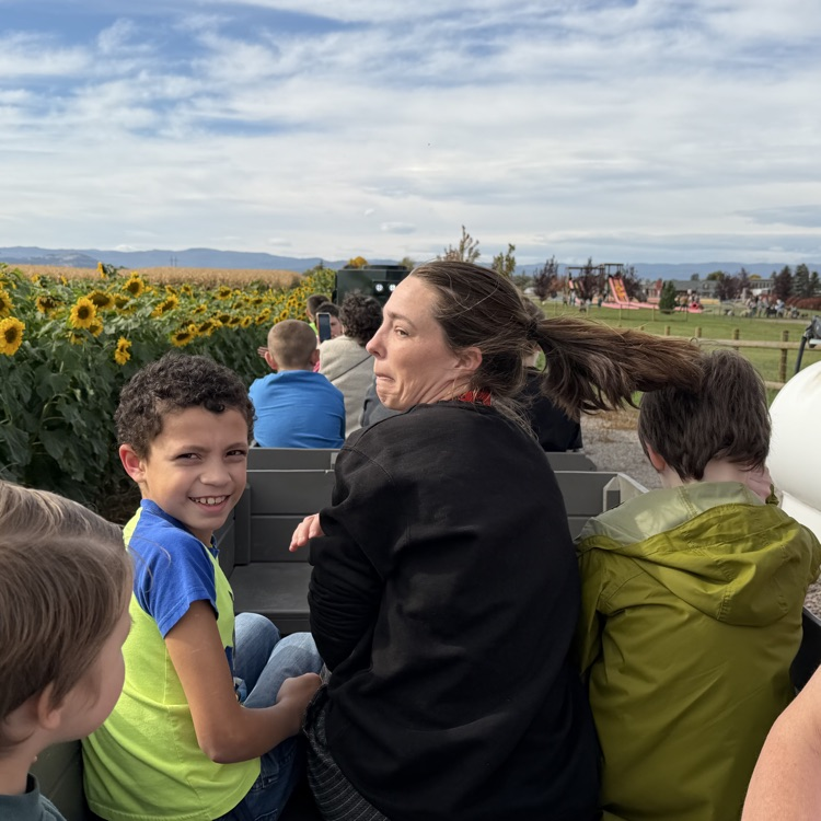 pumpkin patch