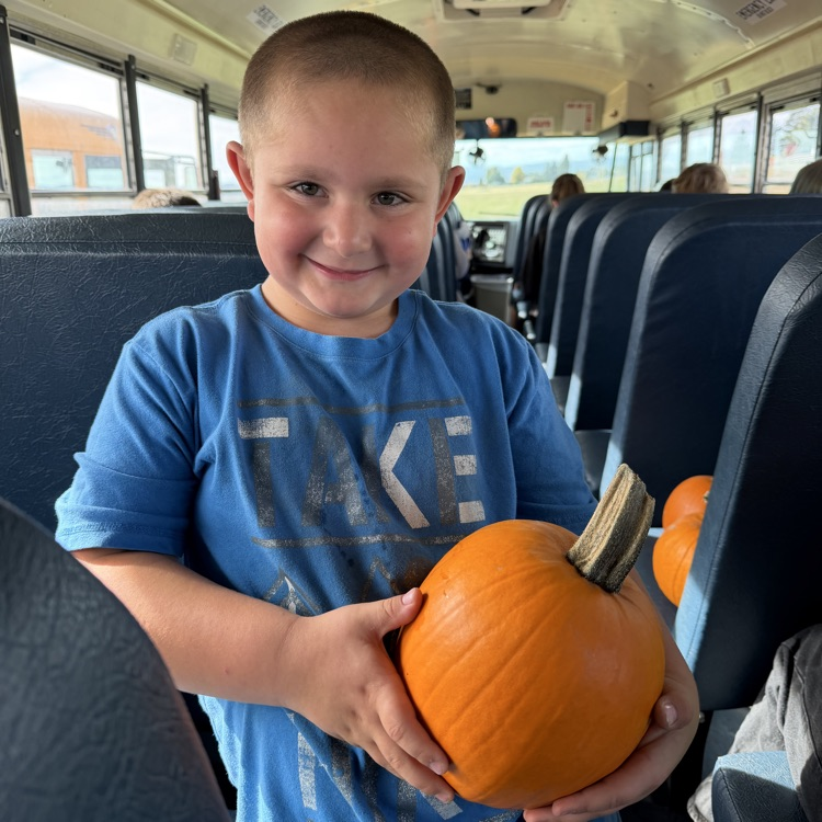 pumpkin patch 