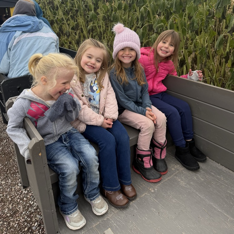 pumpkin patch