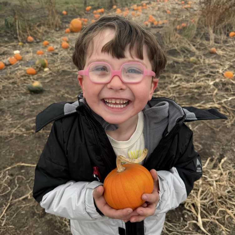 pumpkin patch