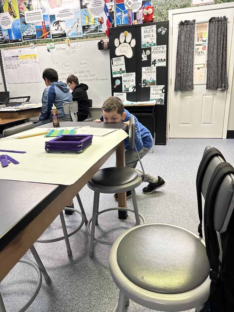 Engineering club designing and building Birdhouses!