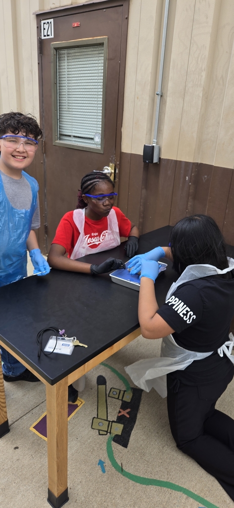 Hommel's fifth graders were able to dissect; analyze;and explain how clams use its structures and functions to survive in their environment.