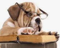 Bulldogs Read!