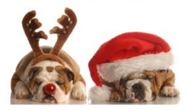 Merry Christmas from Roy Johnson STEM Academy