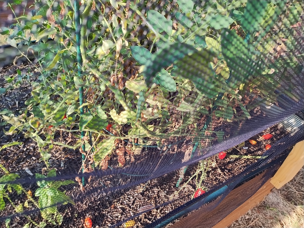 ag