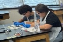 8th Grade Science