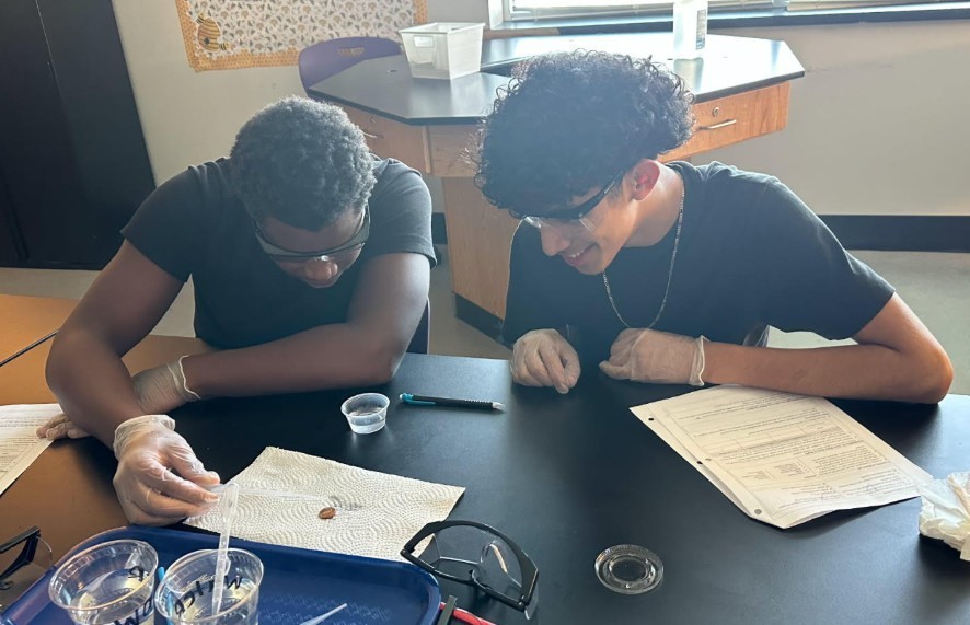 Properties of Water Lab