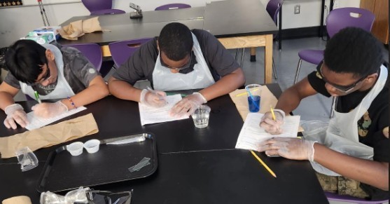 Properties of Water Lab