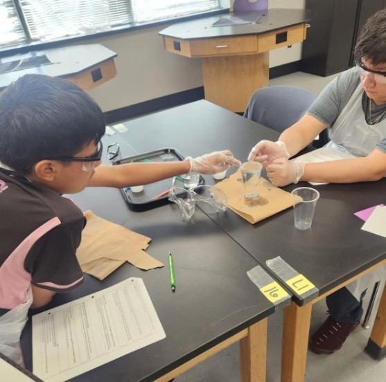 Properties of Water Lab