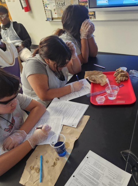 Properties of Water Lab