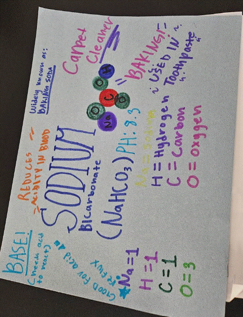 8th Grade Science