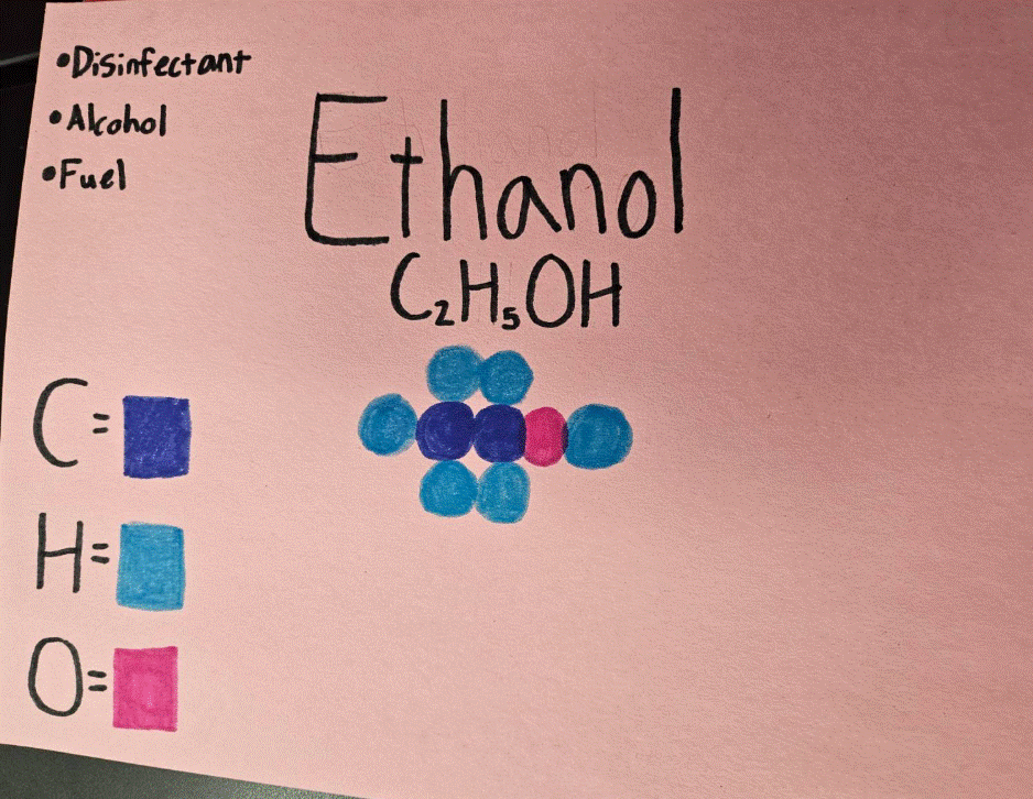 8th Grade Science