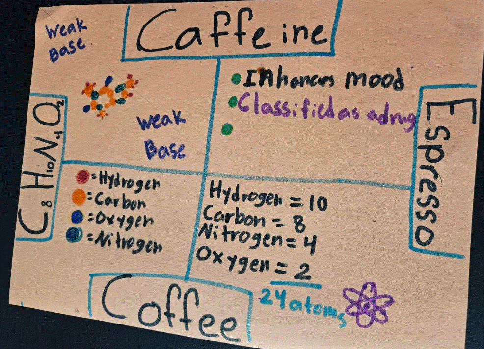 8th Grade Science