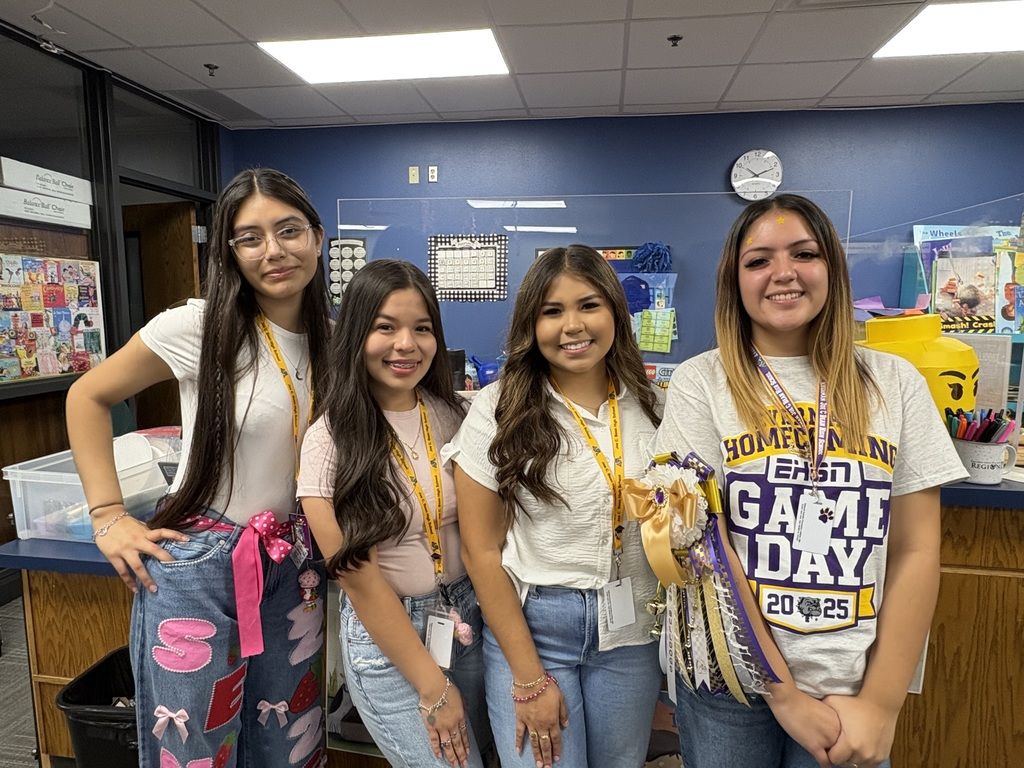 high school volunteers