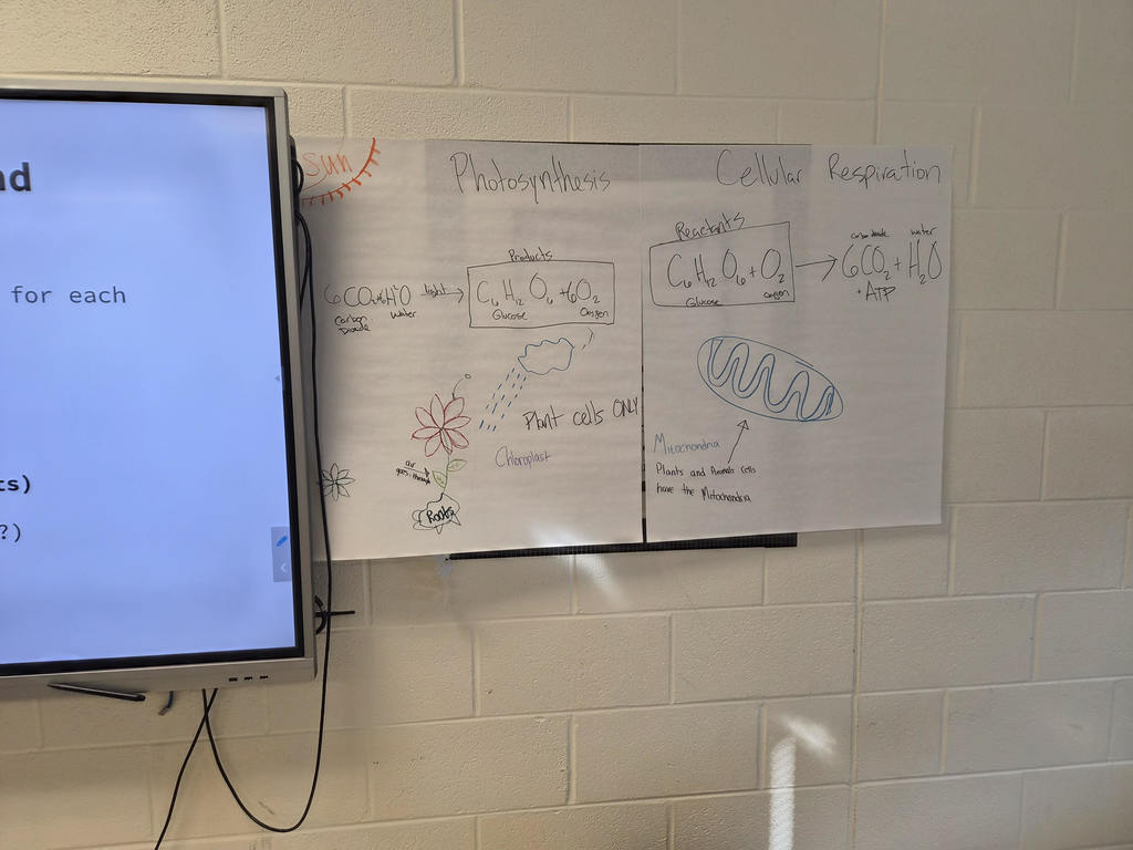 EHS Students Learning Biology