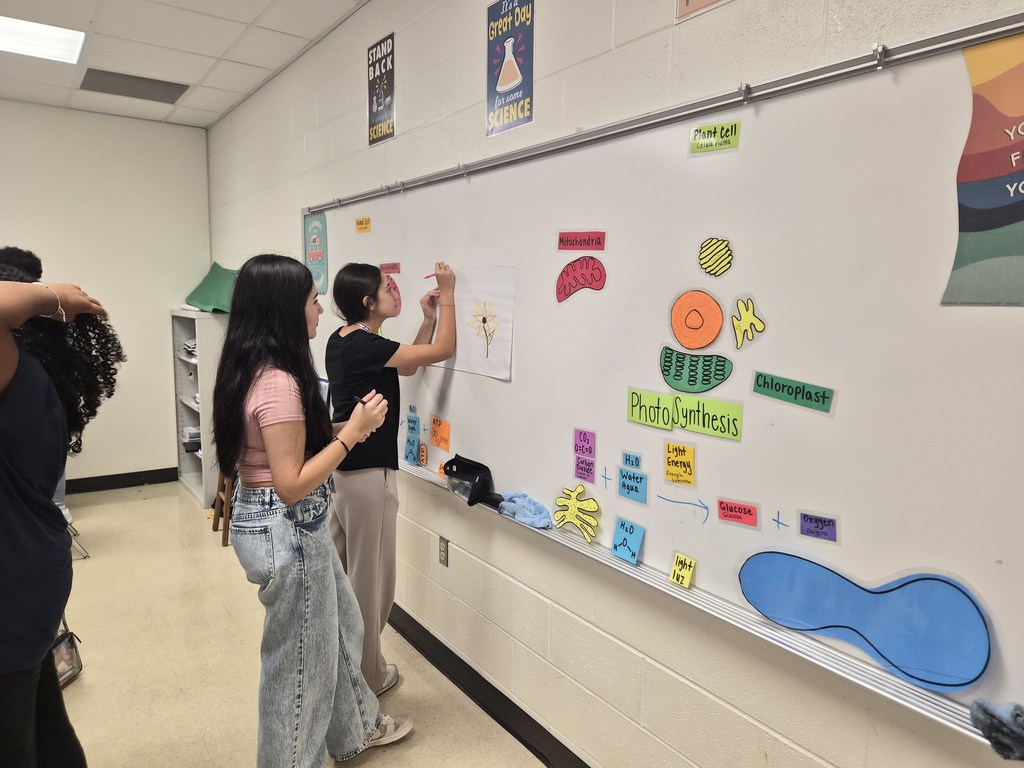 Everman Biology Lessons Rock