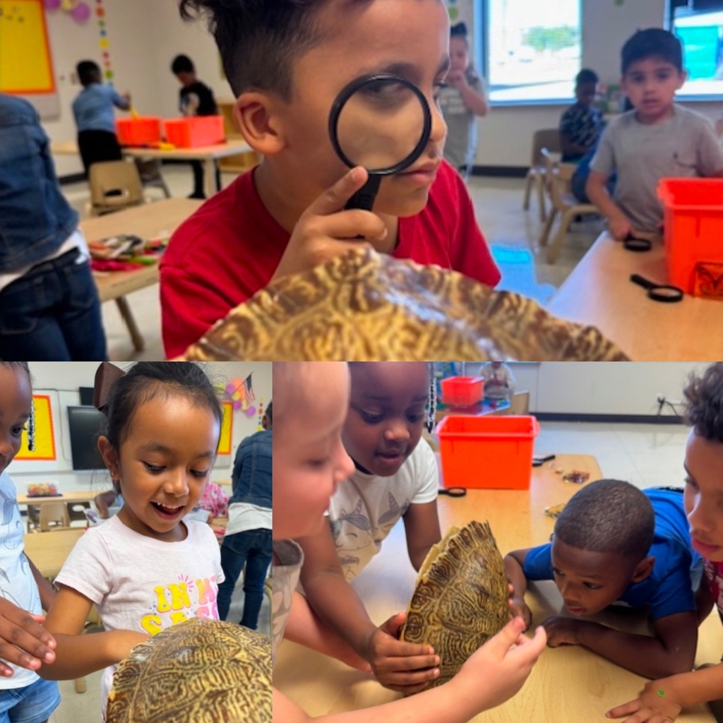 STUDENTS EXPLORING STEM LAB