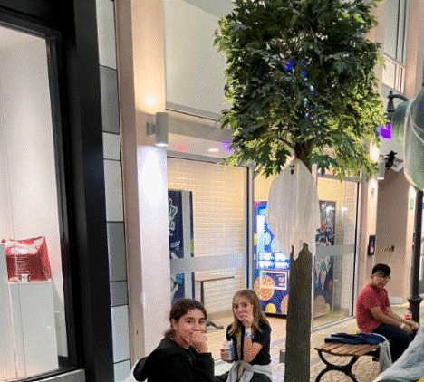 6th Grade Field Trip