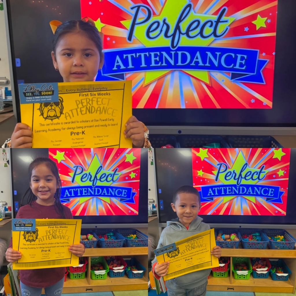 students with perfect attendance