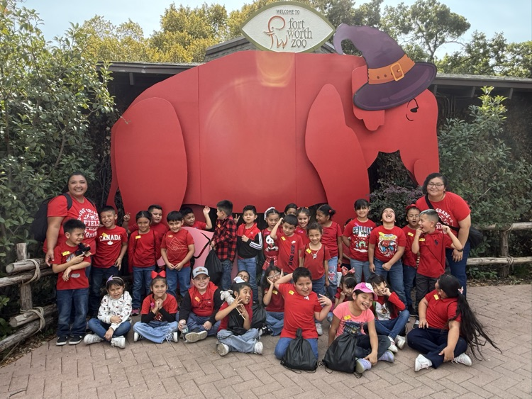 zoo