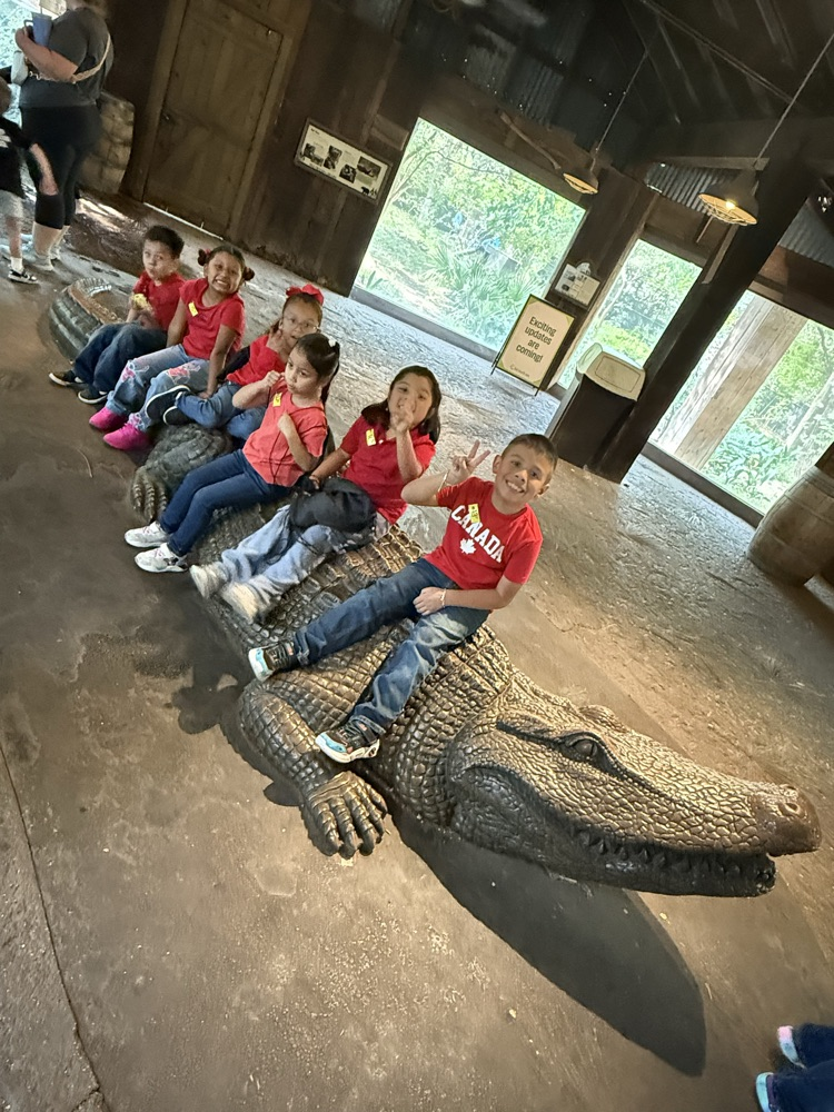 zoo2