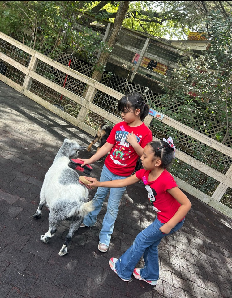 zoo3