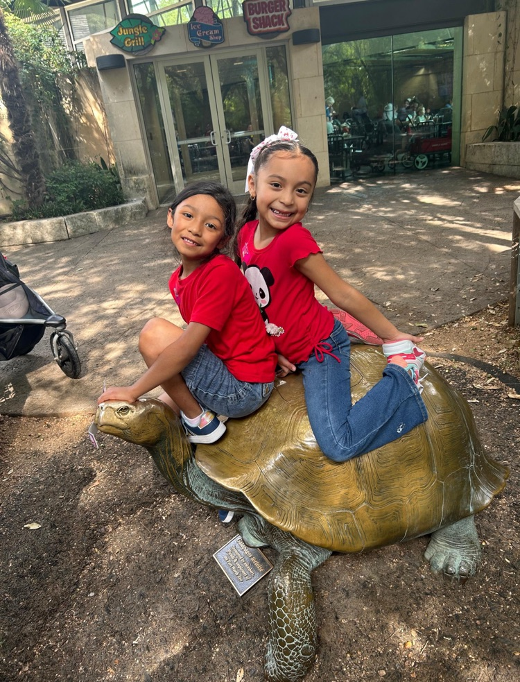zoo4