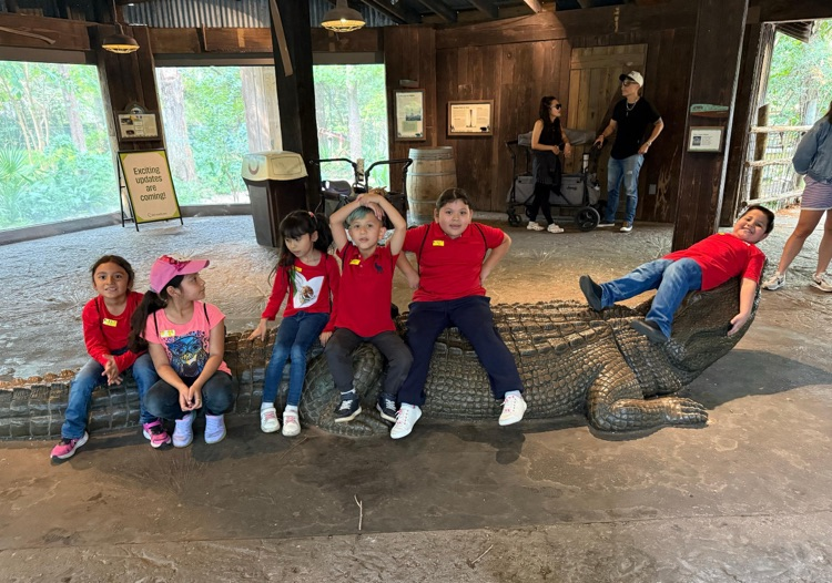zoo8
