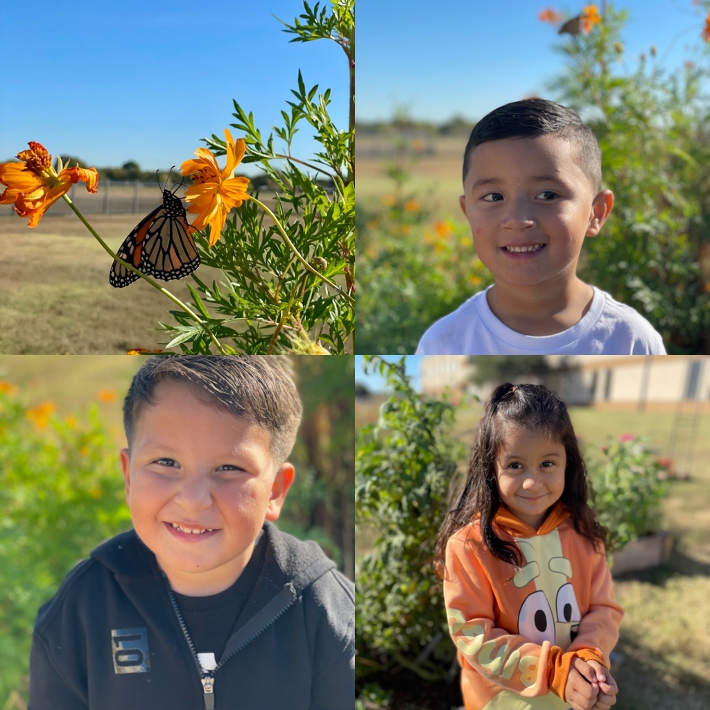 students in the garden