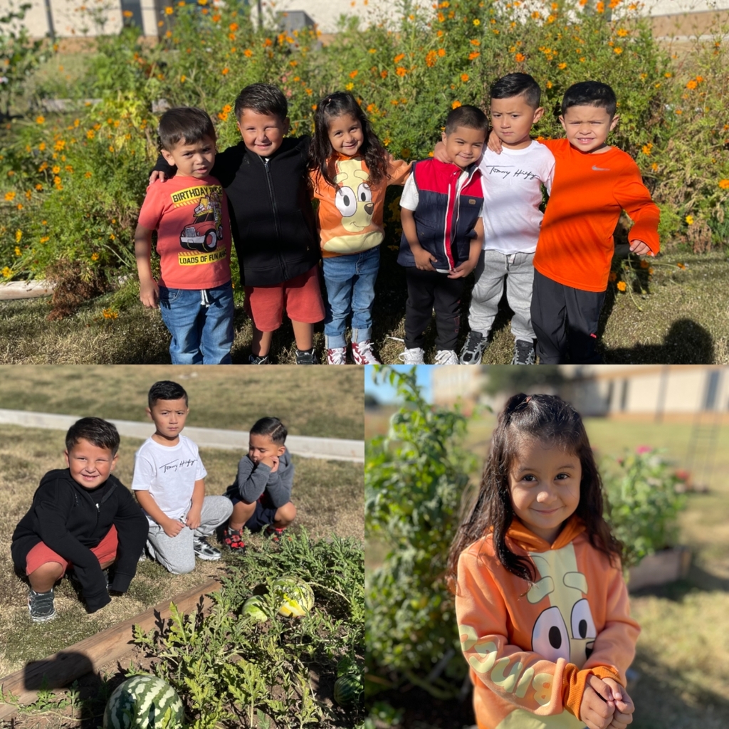 students at the garden