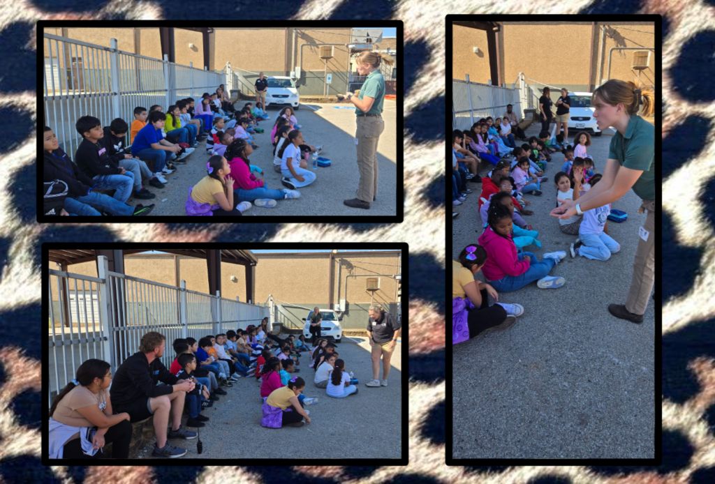 Hommel wants to thank Ms.Robin and Ms. Kendyl from the Fort Worth Zoo 'WILD ONES' Education Program. They spent the last 2 days with our students in grades 2-5  supporting our science curriculum in the most fun way possible!  