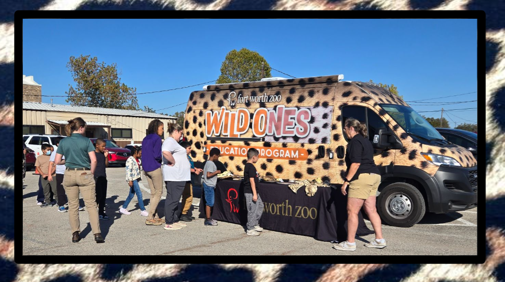 Hommel wants to thank Ms.Robin and Ms. Kendyl from the Fort Worth Zoo 'WILD ONES' Education Program. They spent the last 2 days with our students in grades 2-5  supporting our science curriculum in the most fun way possible!  